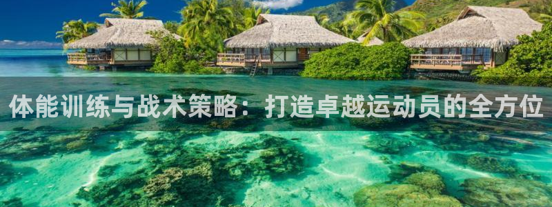风速体育直播