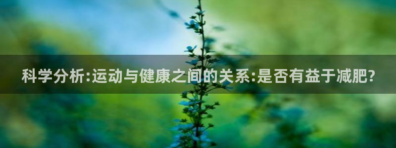 风速体育app下载安装最新版本