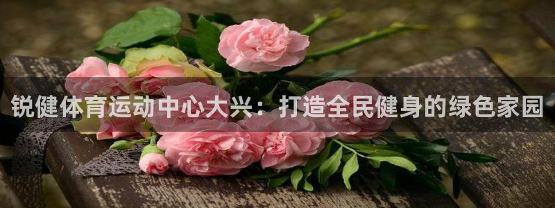 风速体育app下载官网最新版