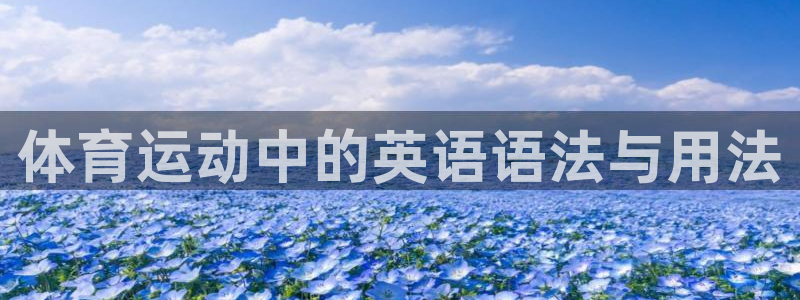 风速体育app官方下载