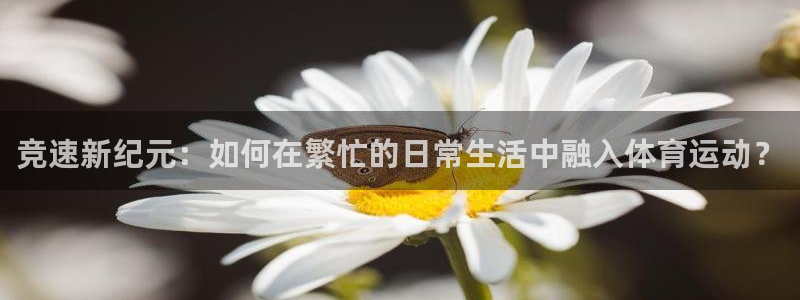 风速体育下载