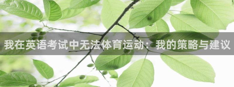 下载风速体育