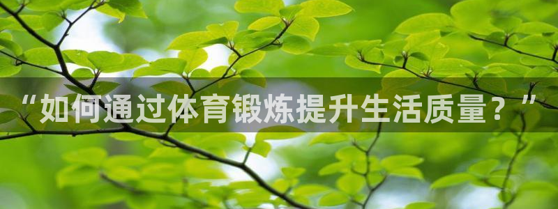 风速体育nba直播