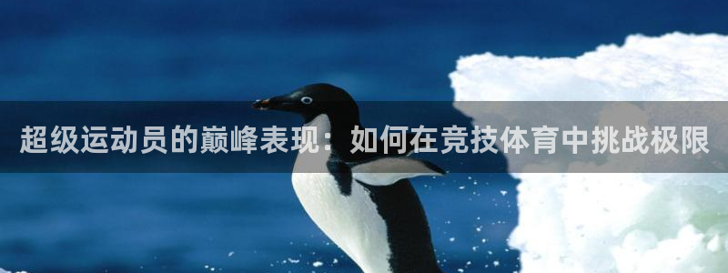 风速体育nba免费直播