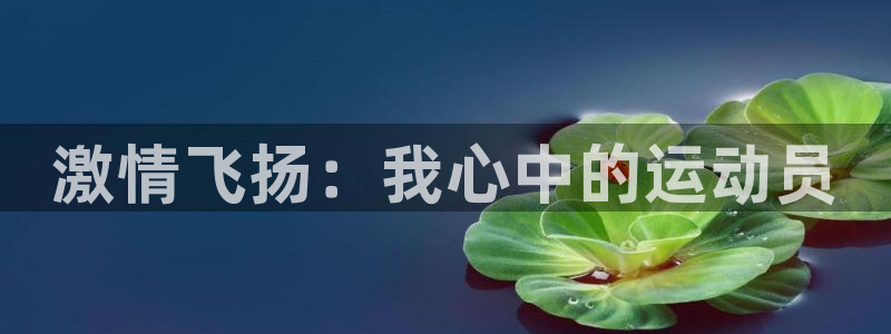 风速体育