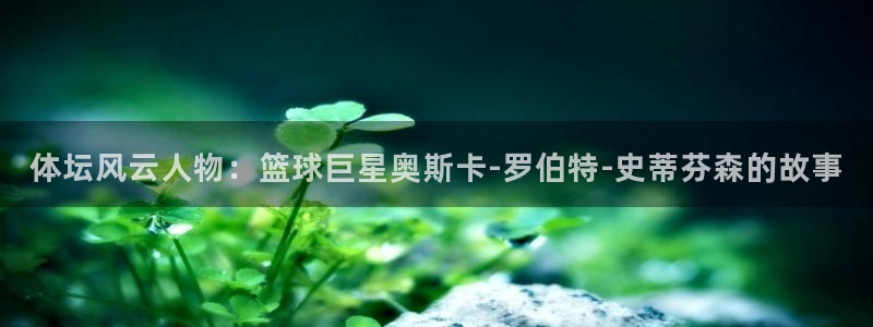 风速体育nba直播