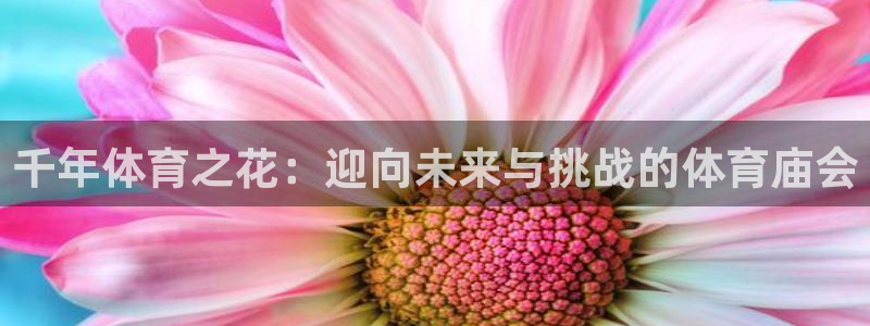风速体育nba直播