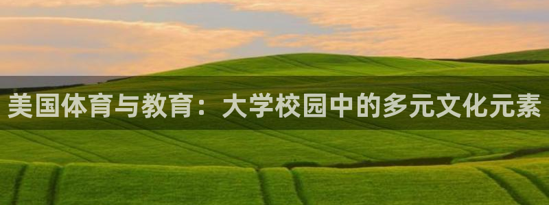 风速体育官网